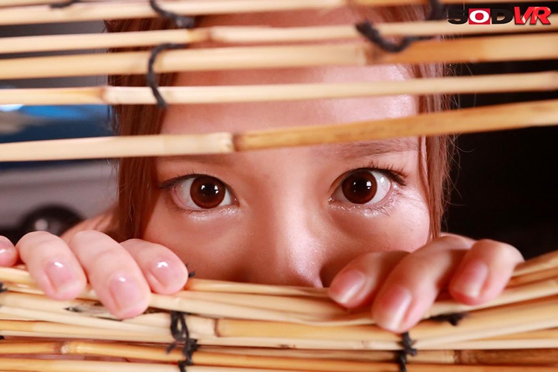 サンプル画像 5