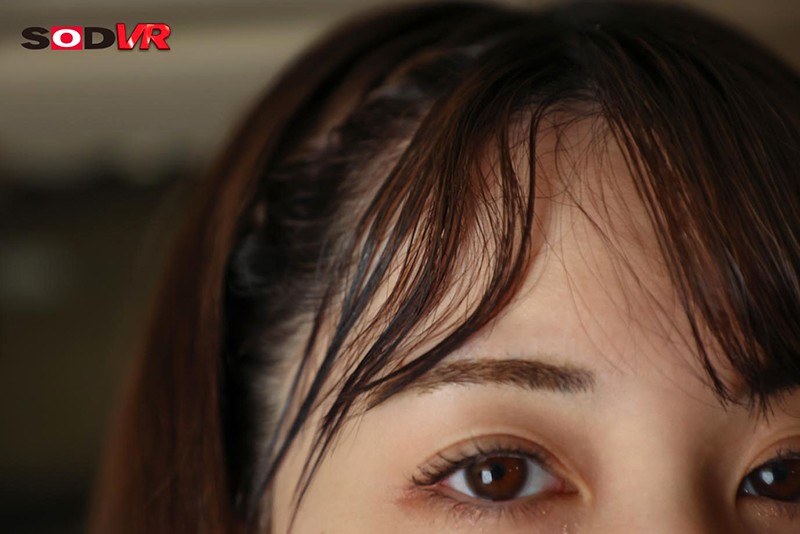 サンプル画像 12