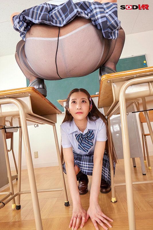 サンプル画像 12