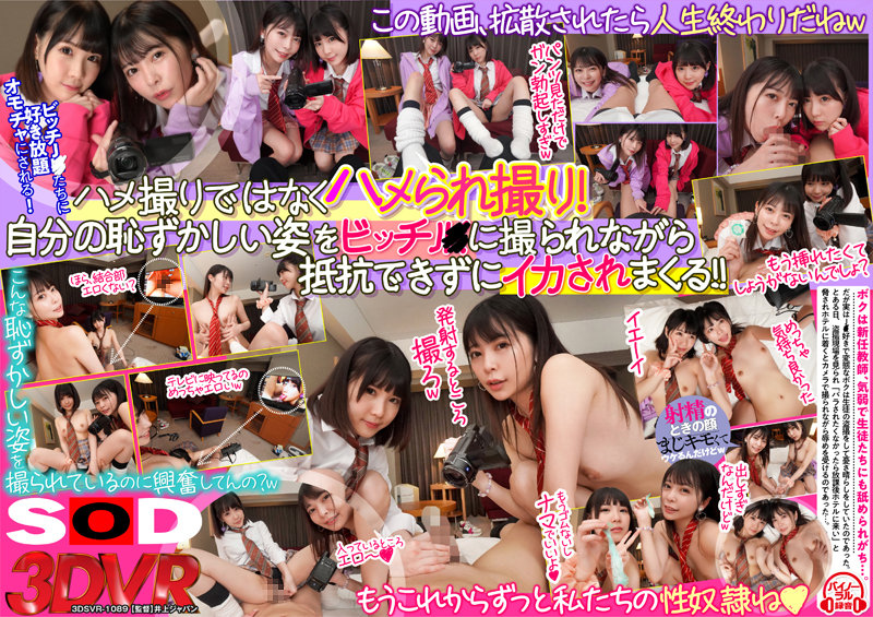 サンプルプレビュー