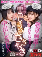 パッケージ画像