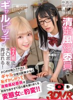 パッケージ画像