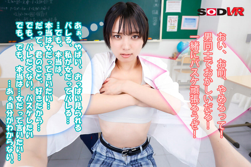 サンプル画像 6