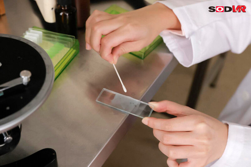 サンプル画像 4