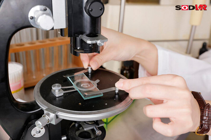 サンプル画像 9