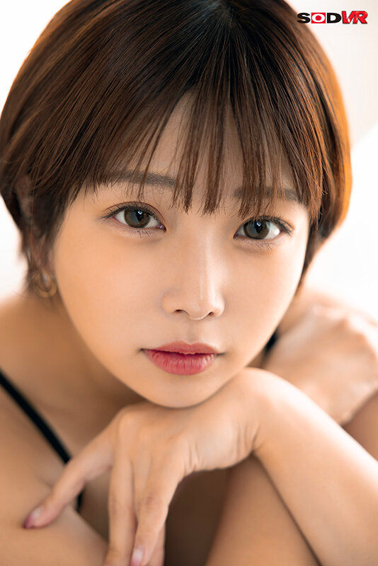 サンプル画像 12