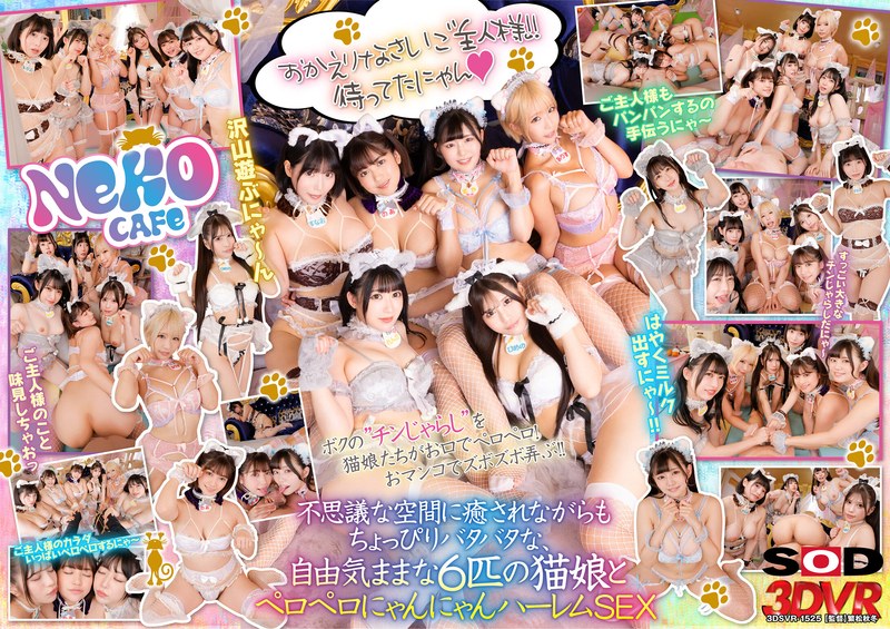 サンプルプレビュー