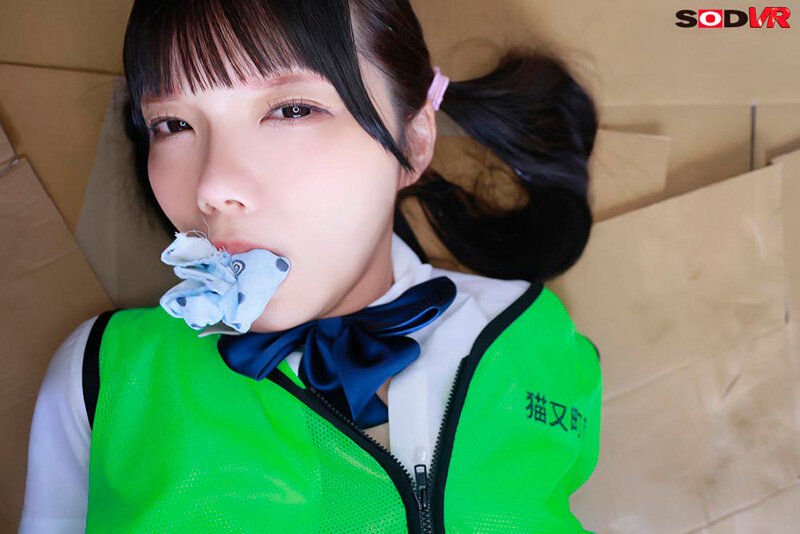 サンプル画像 9