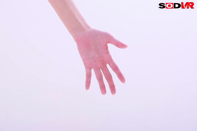 サンプル画像 12