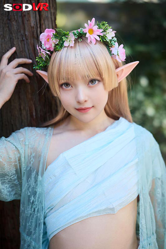 サンプル画像 13