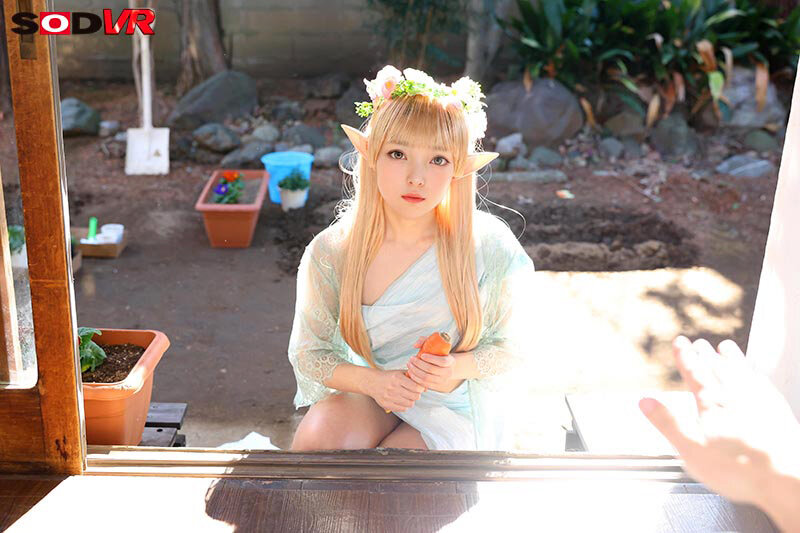 サンプル画像 6