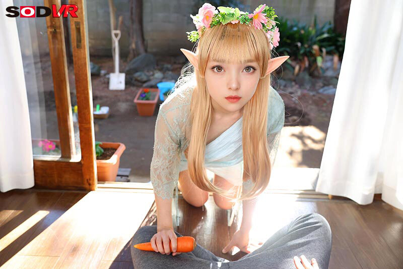 サンプル画像 7