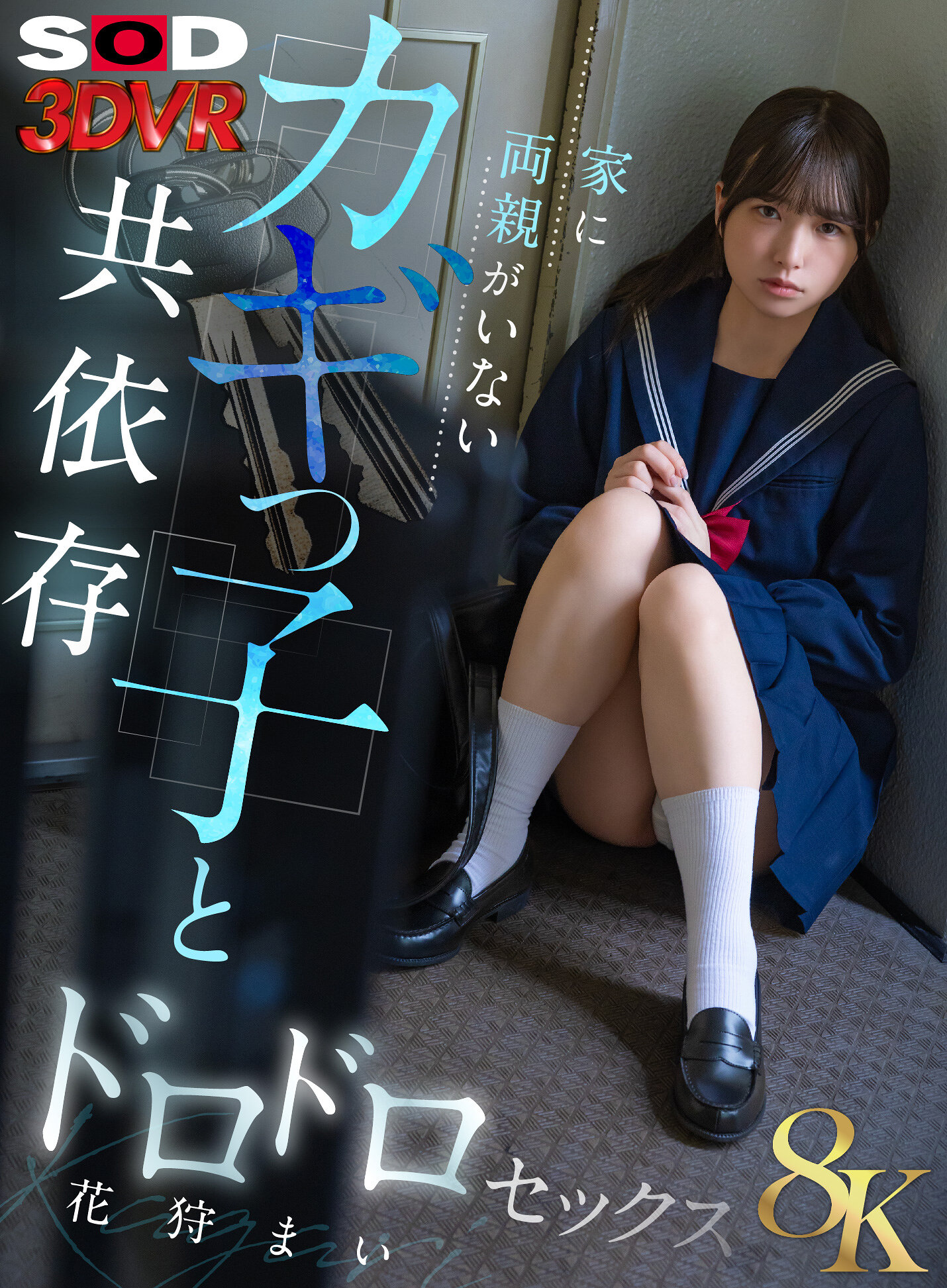 パッケージ画像