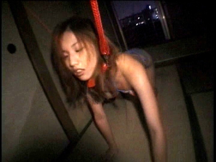 サンプル画像 14