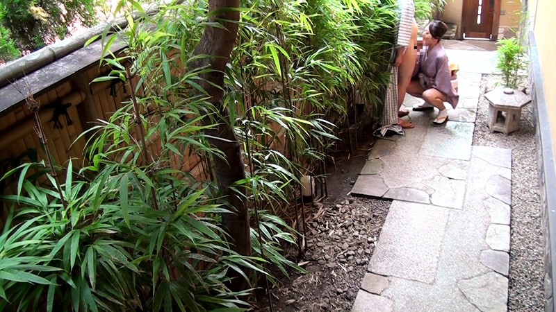 サンプル画像 13