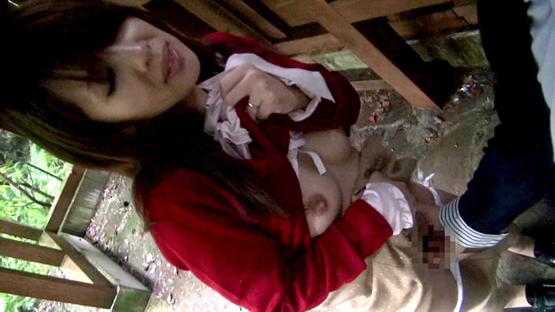 サンプル画像 7