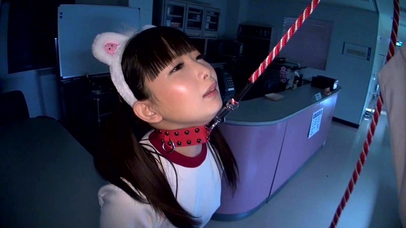 サンプル画像 15