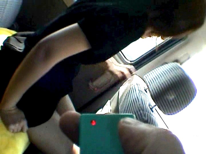 サンプル画像 3