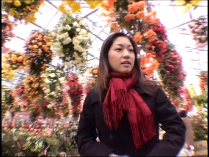 サンプル画像 4