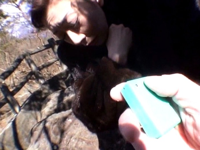 サンプル画像 6