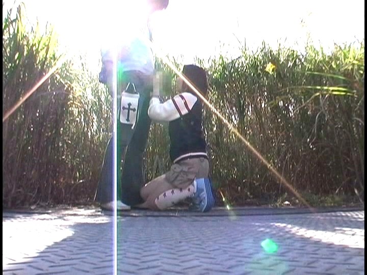 サンプル画像 6