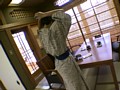 サンプル画像 28