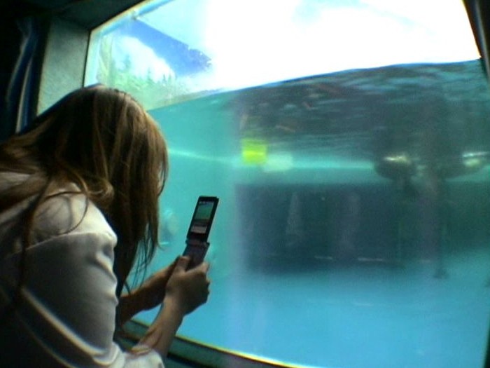 サンプル画像 4