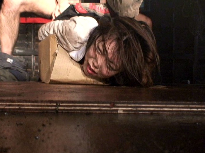 サンプル画像 11