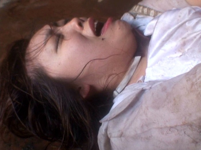 サンプル画像 20