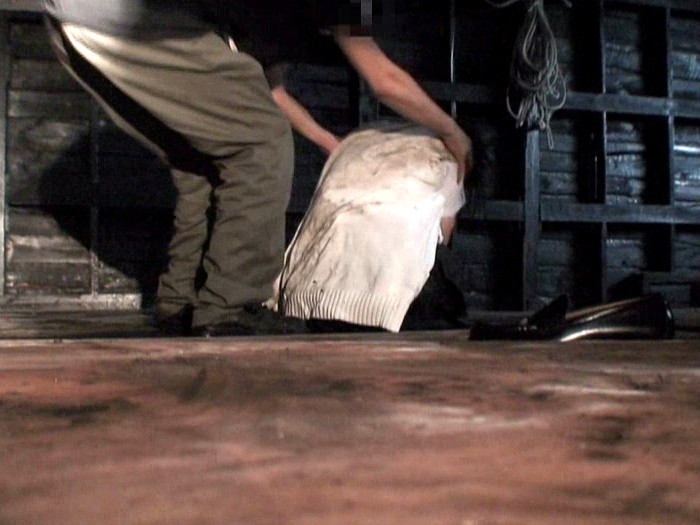 サンプル画像 5