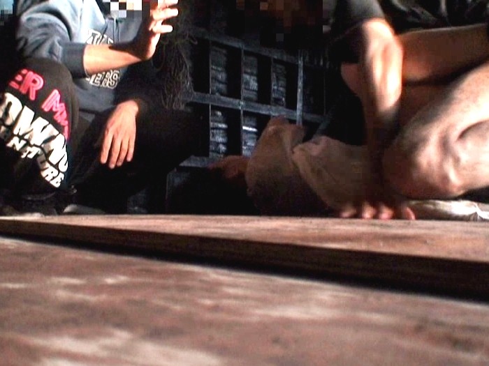 サンプル画像 8