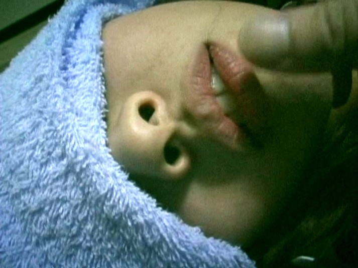 サンプル画像 14