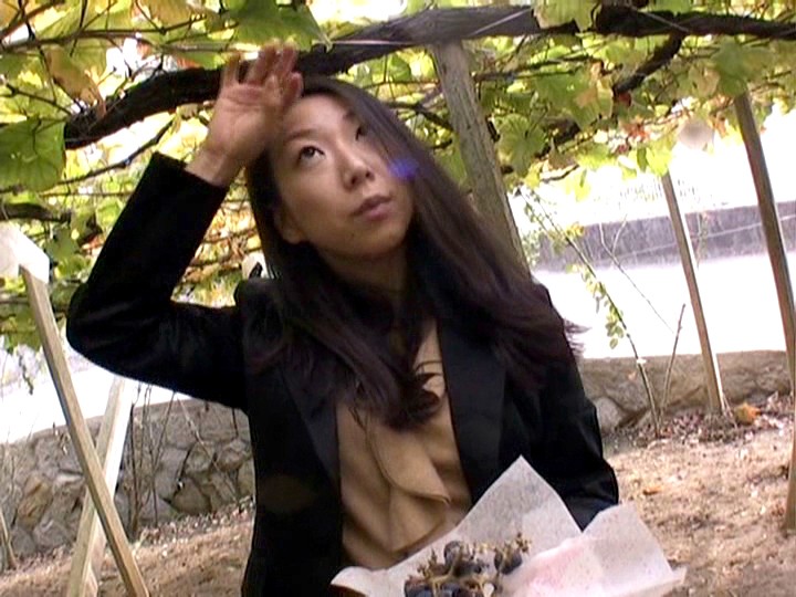 サンプル画像 3