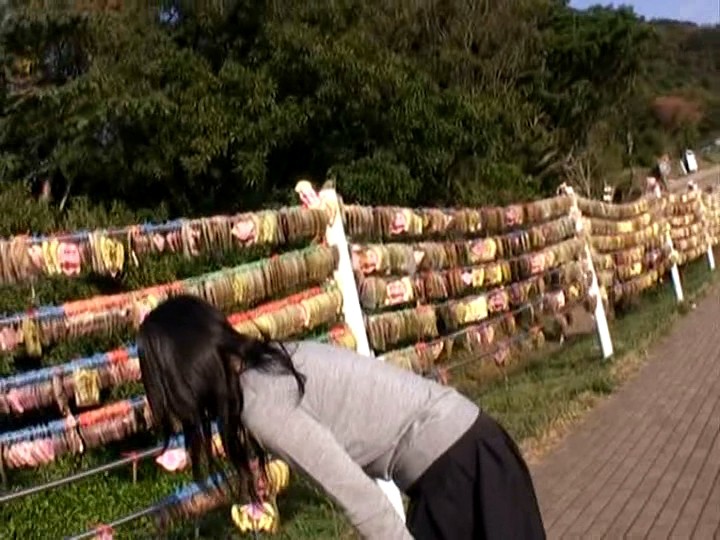 サンプル画像 4