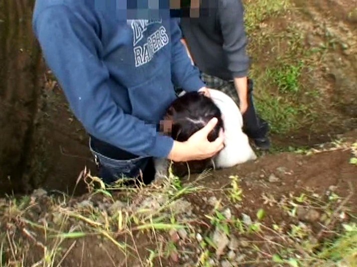 サンプル画像 12