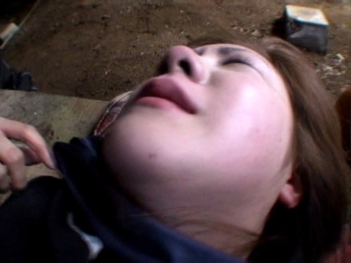 サンプル画像 7