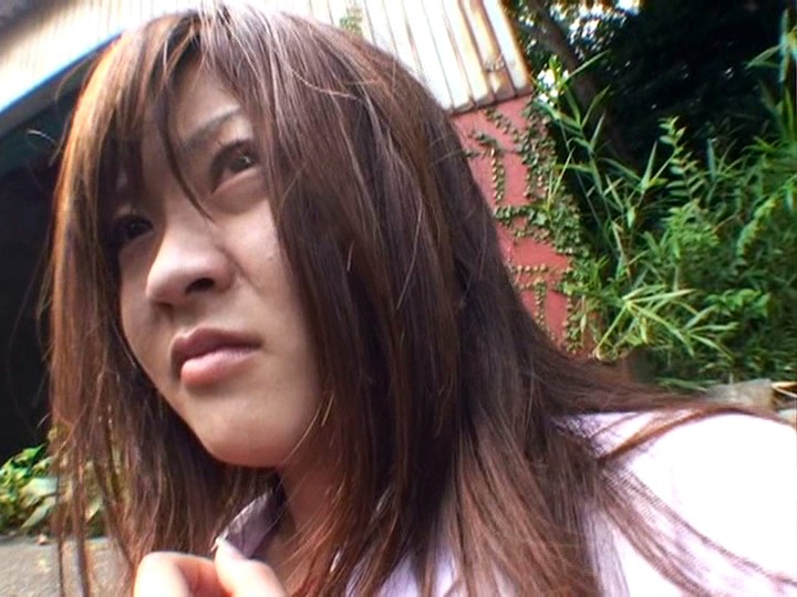 サンプル画像 13