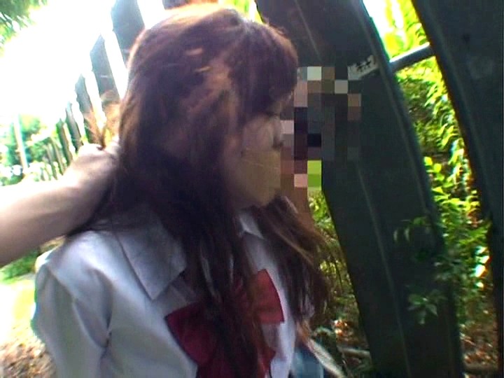 サンプル画像 3