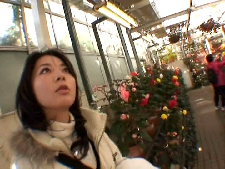 サンプル画像 3