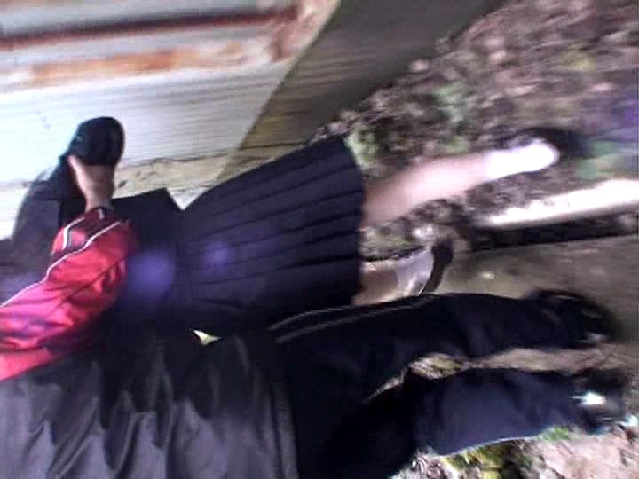 サンプル画像 5