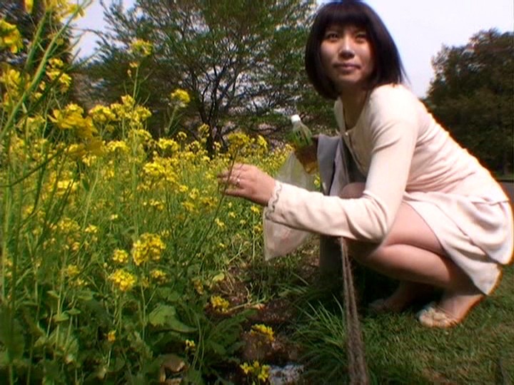 サンプル画像 5