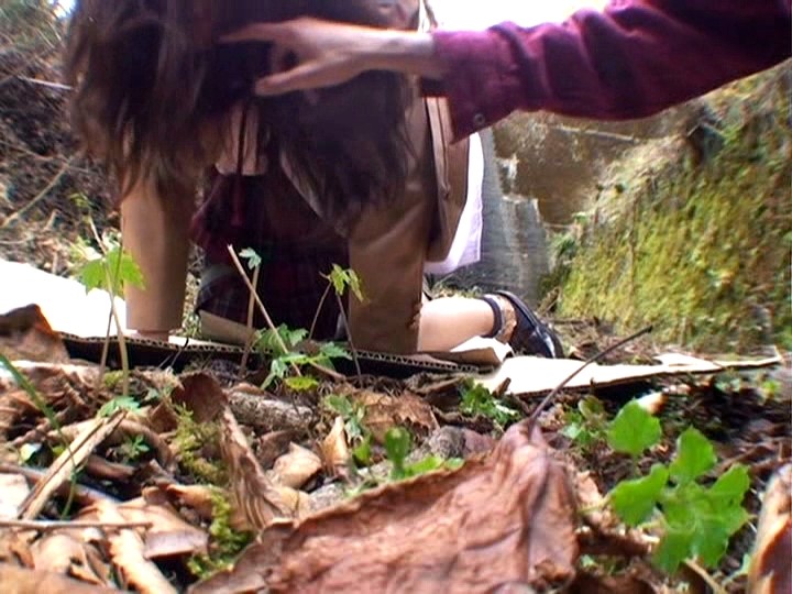 サンプル画像 14