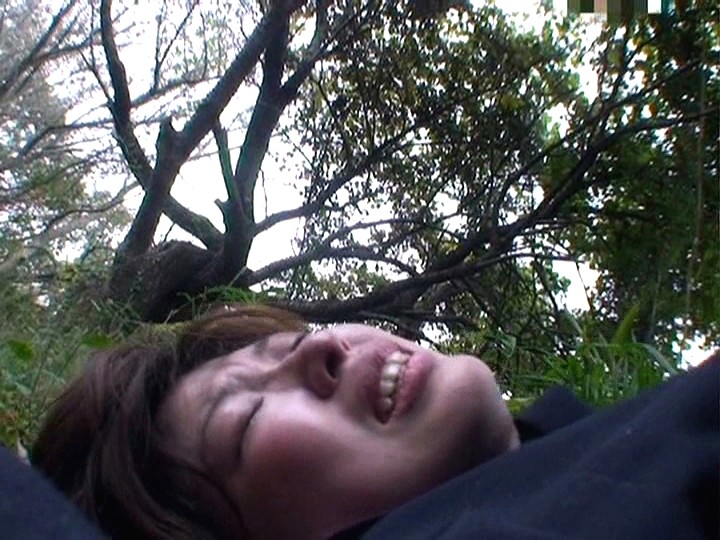 サンプル画像 12