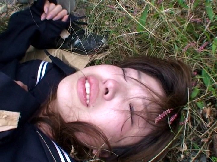 サンプル画像 14