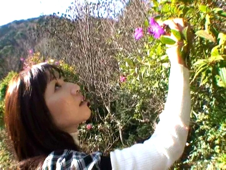 サンプル画像 3