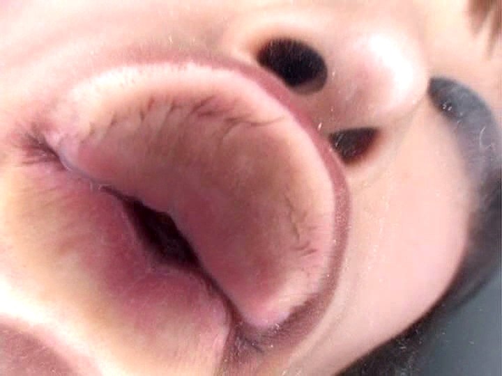 サンプル画像 6