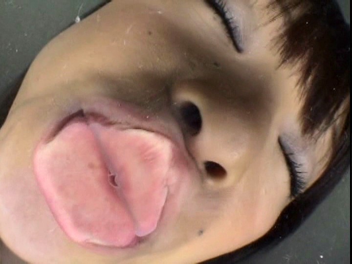 サンプル画像 8