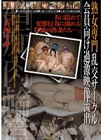 サムネイル画像
