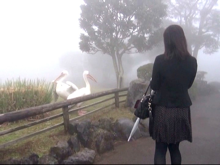 サンプル画像 3