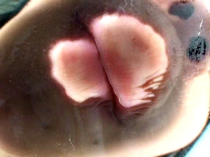 サンプル画像 13